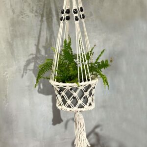 a lush green plant inside a beaded macrame holder